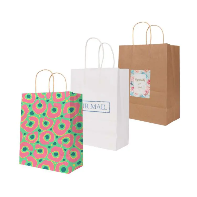 Picture of Twisted Handle Kraft Paper Bag(220x270x110mm)
