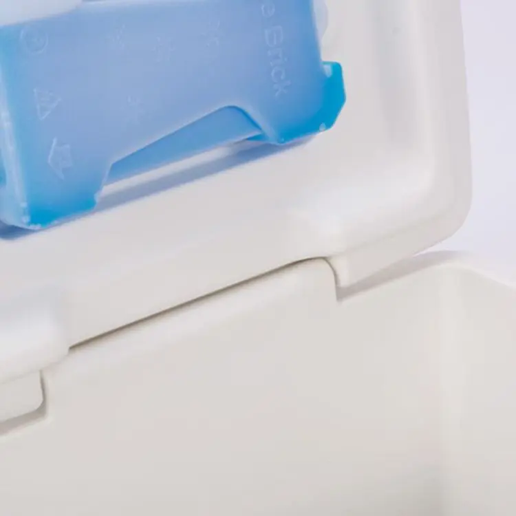 Picture of 13L Cooler Box