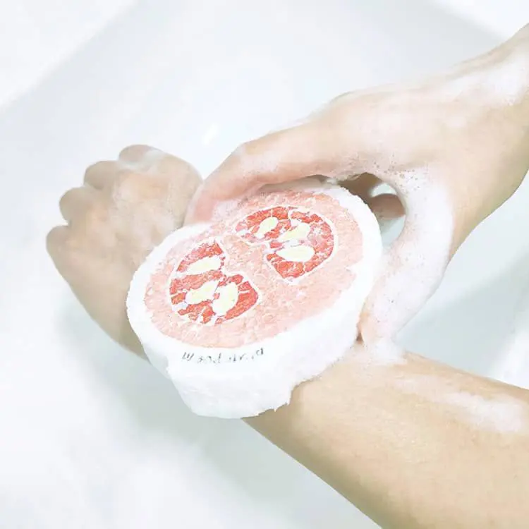 Picture of Expandable Dishwashing Sponge