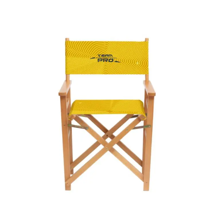 Picture of Director's Chair