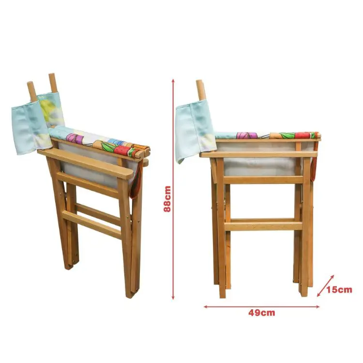 Picture of Director's Chair
