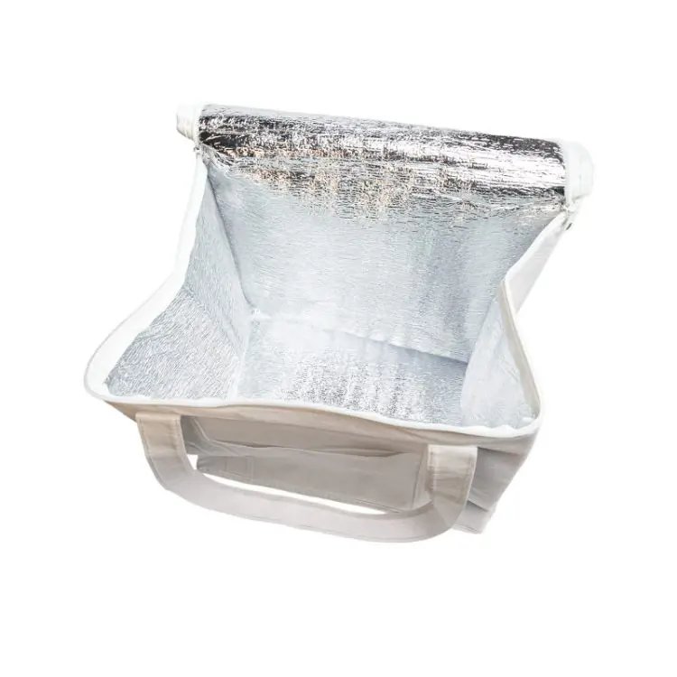 Picture of Tundra Cooler / Shopping Bag