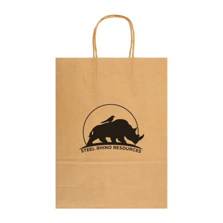 Picture of Express Paper Bag Large