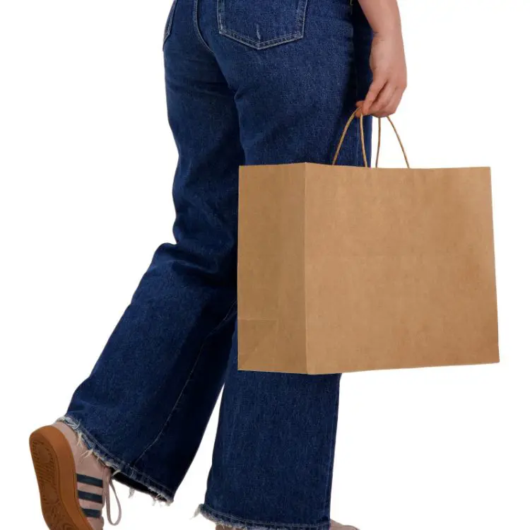 Picture of Express Paper Bag Extra Large