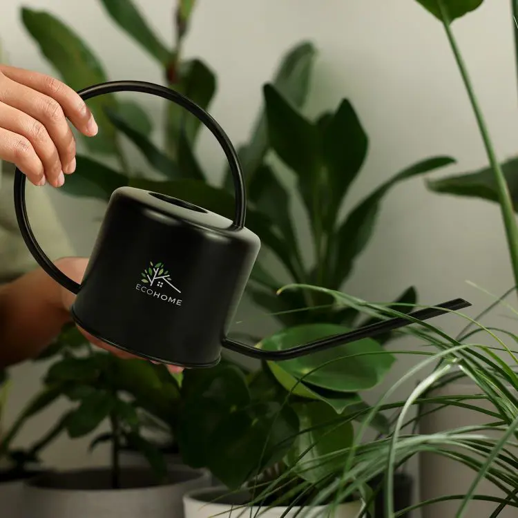 Picture of Keepsake Watering Can