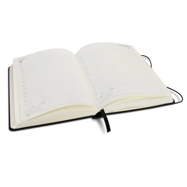 Picture of Daily Diary - 2026