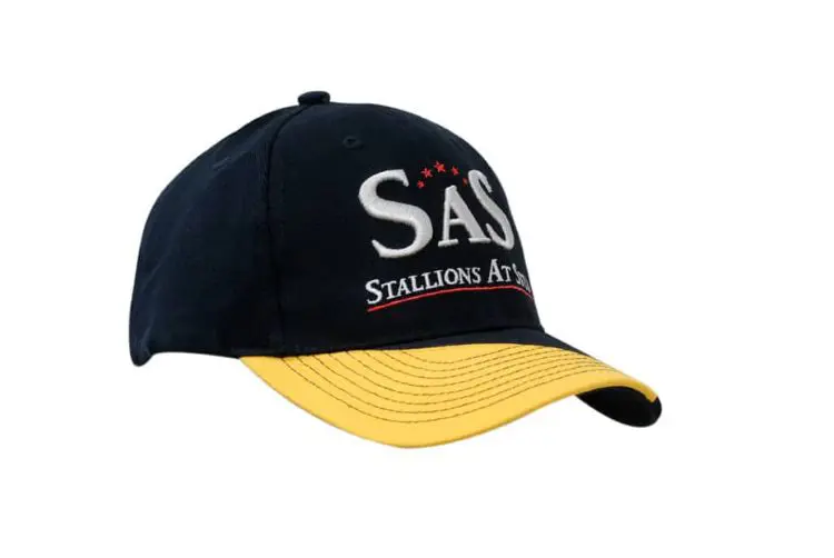 Picture of Brushed Heavy Cotton Cap with Insert on Peak